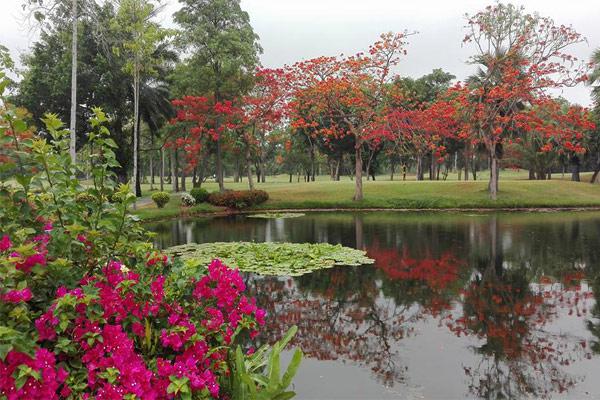 Dynasty Golf Country Club, Thailand